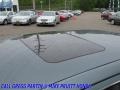 Magnesium Pearlcoat - 300 C HEMI AWD Photo No. 9