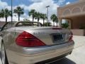 2003 Desert Silver Metallic Mercedes-Benz SL 500 Roadster  photo #6