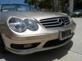Desert Silver Metallic - SL 500 Roadster Photo No. 8