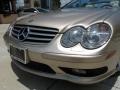 Desert Silver Metallic - SL 500 Roadster Photo No. 9