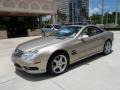 Desert Silver Metallic - SL 500 Roadster Photo No. 13