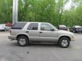 Light Pewter Metallic - Blazer LS 4x4 Photo No. 5