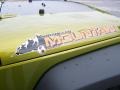 2010 Rescue Green Metallic Jeep Wrangler Unlimited Mountain Edition 4x4  photo #4