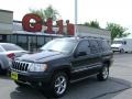 2004 Brillant Black Crystal Pearl Jeep Grand Cherokee Overland 4x4  photo #1