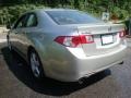 2009 Palladium Metallic Acura TSX Sedan  photo #6