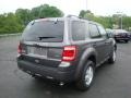 2010 Sterling Grey Metallic Ford Escape XLT V6 4WD  photo #3