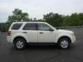 2010 White Suede Ford Escape XLT V6 4WD  photo #2