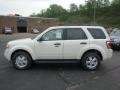 2010 White Suede Ford Escape XLT V6 4WD  photo #6