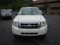 2010 White Suede Ford Escape XLT V6 4WD  photo #11