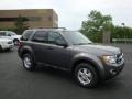 2010 Sterling Grey Metallic Ford Escape XLT V6  photo #1