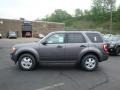 2010 Sterling Grey Metallic Ford Escape XLT V6  photo #6