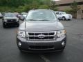 2010 Sterling Grey Metallic Ford Escape XLT V6  photo #11