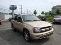 2007 Sandstone Metallic Chevrolet TrailBlazer LS 4x4  photo #1