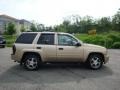 2007 Sandstone Metallic Chevrolet TrailBlazer LS 4x4  photo #2