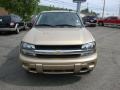 2007 Sandstone Metallic Chevrolet TrailBlazer LS 4x4  photo #11