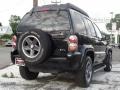 Black Clearcoat - Liberty Renegade 4x4 Photo No. 4