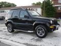 Black Clearcoat - Liberty Renegade 4x4 Photo No. 10