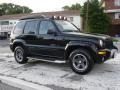 2003 Black Clearcoat Jeep Liberty Renegade 4x4  photo #10