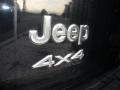 2003 Black Clearcoat Jeep Liberty Renegade 4x4  photo #20