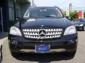 Black - ML 350 4Matic Photo No. 2