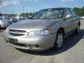 Brushed Pewter Metallic - Altima GXE Photo No. 1