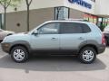 2008 Alpine Frost Hyundai Tucson SE  photo #12