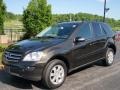 2007 Verde Brook Metallic Mercedes-Benz ML 350 4Matic  photo #1