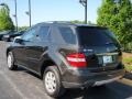 2007 Verde Brook Metallic Mercedes-Benz ML 350 4Matic  photo #7