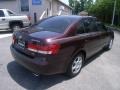 Dark Cinnamon - Sonata LX V6 Photo No. 5