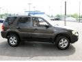 2006 Dark Stone Metallic Ford Escape XLT V6 4WD  photo #4