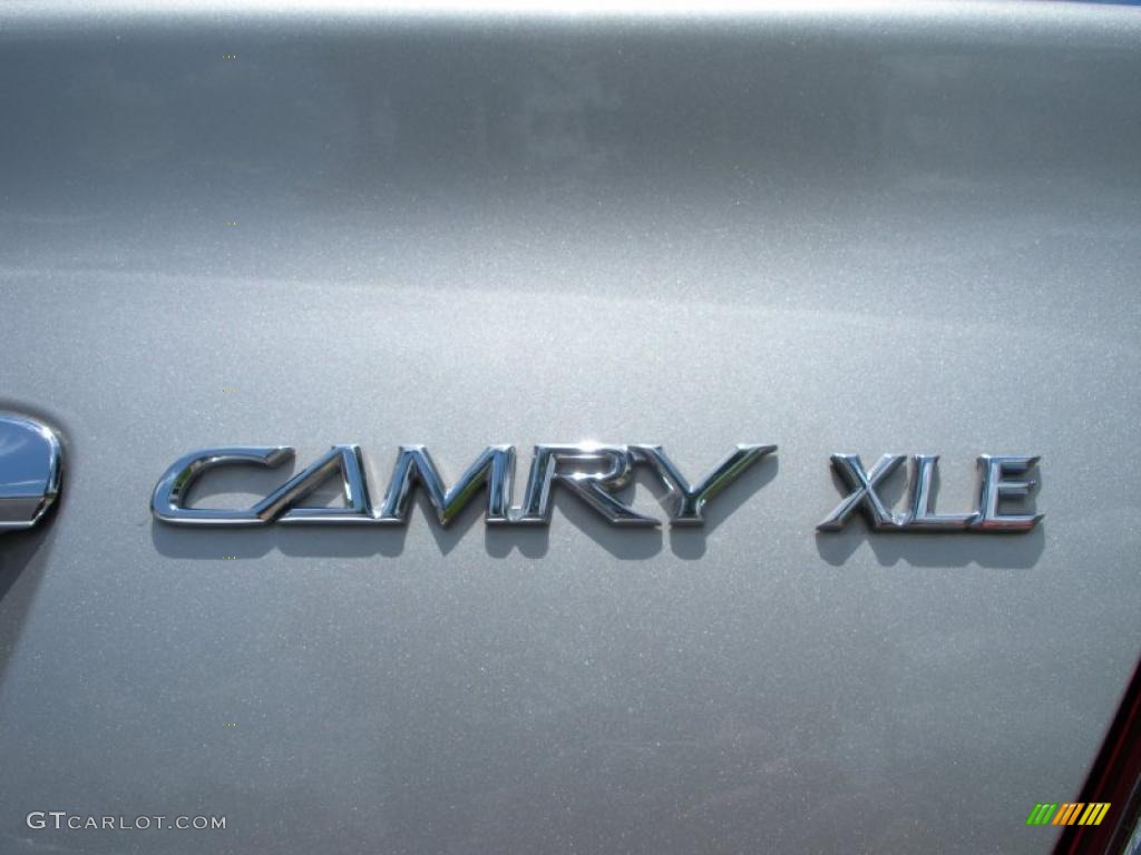 2004 Camry XLE - Lunar Mist Metallic / Stone photo #9