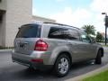 Pewter Metallic - GL 450 Photo No. 6