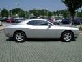 Bright Silver Metallic - Challenger SE Photo No. 6