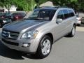 Pewter Metallic - GL 450 Photo No. 2
