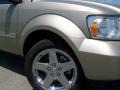 Light Sandstone Metallic - Durango Limited 4x4 Photo No. 7