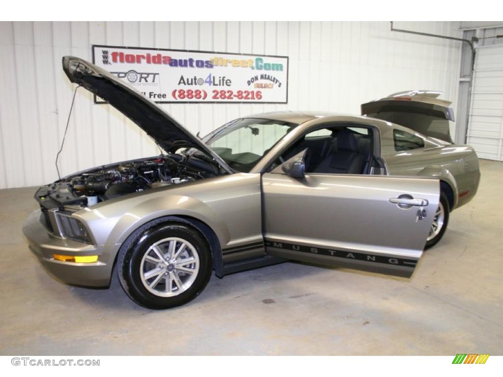 2005 Mustang V6 Premium Coupe - Mineral Grey Metallic / Dark Charcoal photo #42