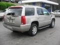 Quicksilver - Escalade AWD Photo No. 6