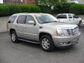 Quicksilver - Escalade AWD Photo No. 8