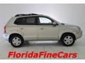 2006 Sahara Silver Hyundai Tucson Limited  photo #4