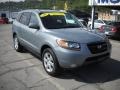 2007 Steel Gray Hyundai Santa Fe Limited 4WD  photo #20