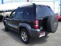 Black - Liberty Sport 4x4 Photo No. 3