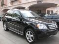 Black - ML 350 4Matic Photo No. 1