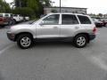 Pewter - Santa Fe GLS Photo No. 2