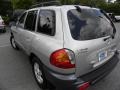 Pewter - Santa Fe GLS Photo No. 15