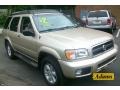 2002 Sahara Beige Metallic Nissan Pathfinder SE 4x4  photo #2