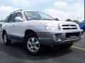 2006 Nordic White Hyundai Santa Fe GLS 4WD  photo #7