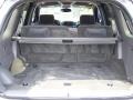 Light Pewter Metallic - TrailBlazer LT Photo No. 7
