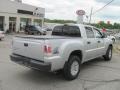 Alloy Silver - Raider LS Double Cab 4x4 Photo No. 3