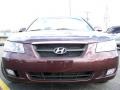 Dark Cinnamon - Sonata GLS V6 Photo No. 2