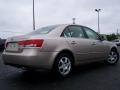Golden Beige - Sonata GLS V6 Photo No. 4